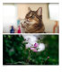 Объектив 7Artisans 50mm F0.95 X-Mount - Изображение 166392
