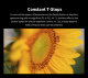 Объектив Sirui Jupiter 50mm T2 Full-frame Macro PL-mount - Изображение 189145