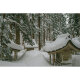 Объектив Sigma AF 16mm F/1.4 DC DN Contemporary X-mount - Изображение 234702