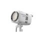 Осветитель Godox LITEMONS LE200Bi Белый - Изображение 287356