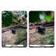Объектив Freewell 100mm Long Range Macro для смартфона (17mm mount) - Изображение 289866