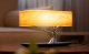 Лампа настольная HomeTree Light of the tree B2S с беспроводной зарядкой и акустикой Светлая - Изображение 111399insta
