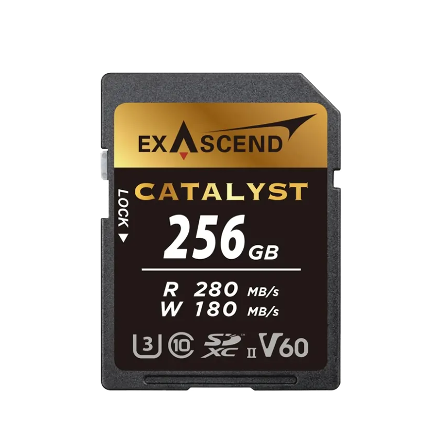 Карта памяти Exascend Catalyst UHS-II SD V60 256GB preOrder=07.10.2026