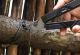 Мультитул NexTool NE20213 Multifunction Knife с электроотверткой - Изображение 225437