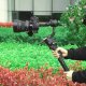 Вертикальная площадка DigitalFoto DF-8169 для DJI RS2/RS3/RS3PRO - Изображение 304315