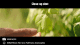 Объектив Sirui Venus 75mm T2.9 1.6x Full-Frame Anamorphic RF - Изображение 185602